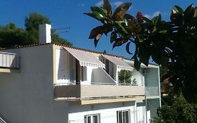 Apartmani Carević
